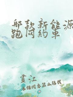 哪款新能源适合跑网约车