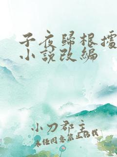 子夜归根据什么小说改编