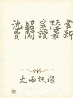沈昭宁陆聿珩免费阅读最新章节更新