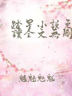踏星小说免费阅读全文无删减