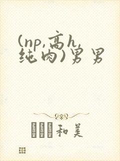 (np,高h,纯肉)男男
