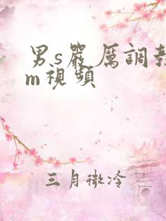男s严厉调教女m视频