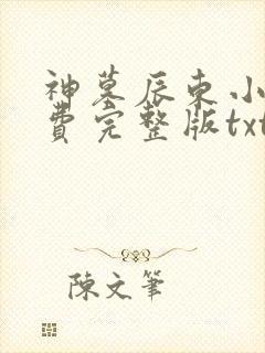 神墓辰东小说免费完整版txt 神墓辰东小说免费完整版txt