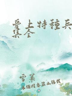 爱上特种兵40集全