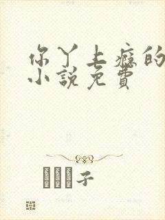 你丫上瘾的原著小说免费