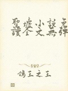 圣墟小说免费阅读全文无弹窗 圣墟小说免费阅读全文无弹窗
