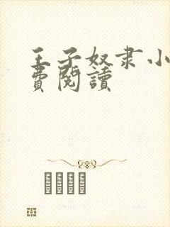 王子奴隶小说免费阅读