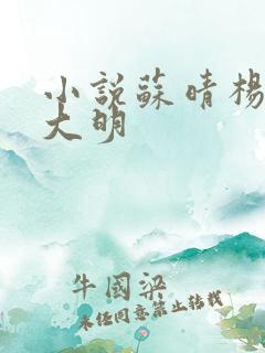 小说苏晴杨彬杨大明