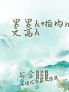 男男h啪肉np文高h