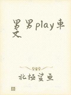 男男play车文