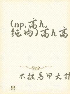 (np,高h,纯肉)高h高