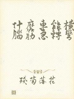 什么车能横着走脑筋急转弯呢