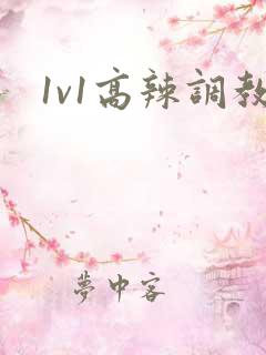 1v1高辣调教