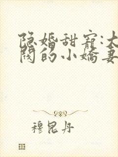 隐婚甜宠:大财阀的小娇妻