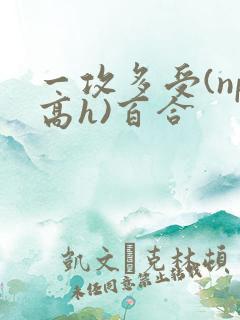 一攻多受(np高h)百合