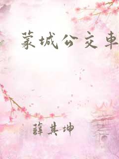 蒙城公交车路线