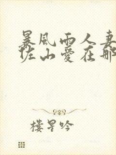 暴风雨人妻侵犯佐山爱在那里看