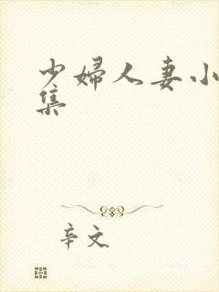 少妇人妻小说合集