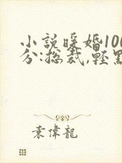 小说暖婚100分:总裁,轻点宠