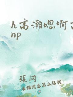 h高潮嗯啊高hnp