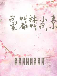 我叫林小喜 大家都叫我小喜小说