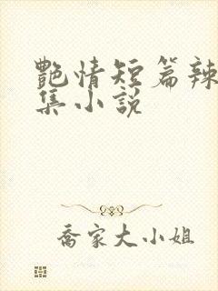 艳情短篇辣文合集小说 艳情短篇辣文合集小说