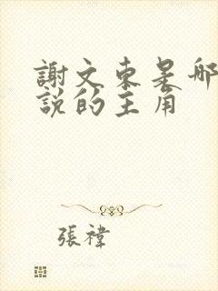 谢文东是哪部小说的主角