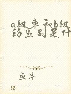 a级车和b级车的区别是什么