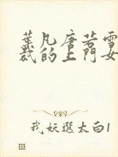 叶凡唐若雪女总裁的上门女婿