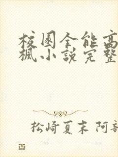 校园全能高手季枫小说完整版txt