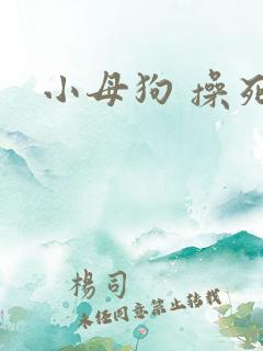 小母狗 操死你