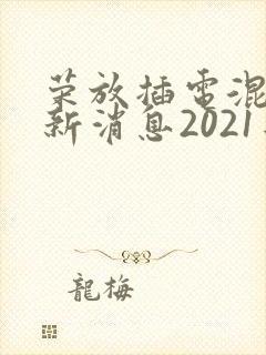 荣放插电混动最新消息2021年