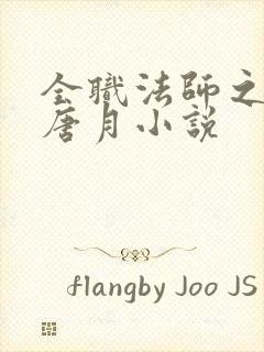 全职法师之推倒唐月小说