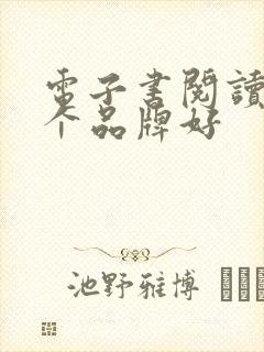 电子书阅读器哪个品牌好