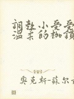 调教小受受男男温柔的枷锁