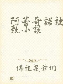 阿蕾奇诺被性调教小说