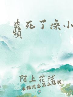 爽死了操小逼视频