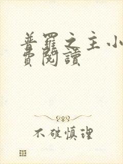 普罗之主小说免费阅读