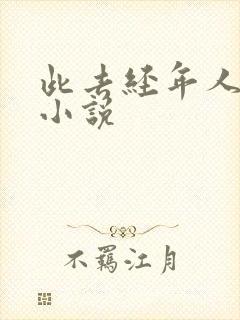 此去经年人未还小说