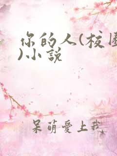 你的人(校园h)小说