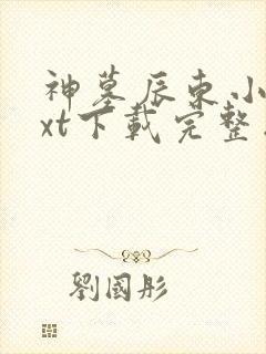 神墓辰东小说txt下载完整版 神墓辰东小说txt下载完整版
