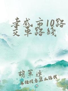 孝感市10路公交车路线