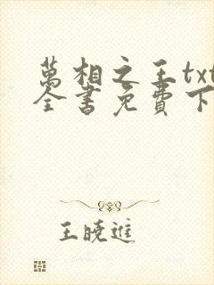 万相之王txt全书免费下载