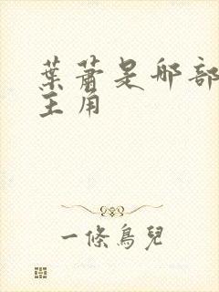 叶萧是哪部小说主角