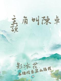 主角叫陈卓的小说