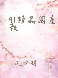 91精品国产调教