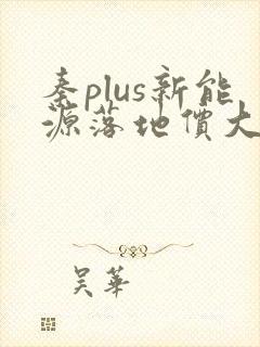 秦plus新能源落地价大概多少钱 秦plus新能源落地价大概多少钱