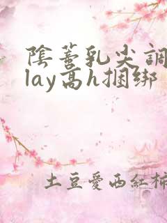 阴蒂乳尖调教play高h捆绑