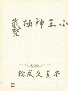 武极神王小说完整