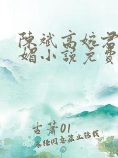 陈斌高婉君赵心媚小说免费